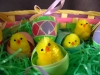 easterbasket